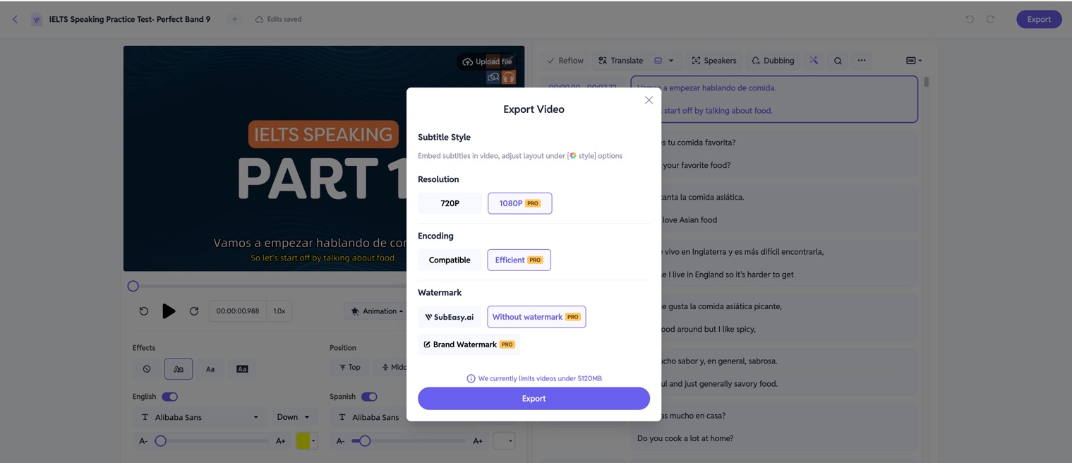 SubEasy Export Video