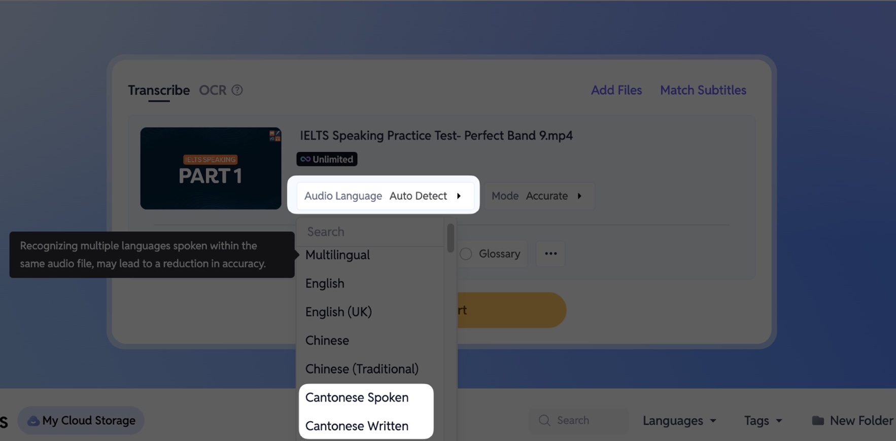 SubEasy Cantonese Video Transcription Options