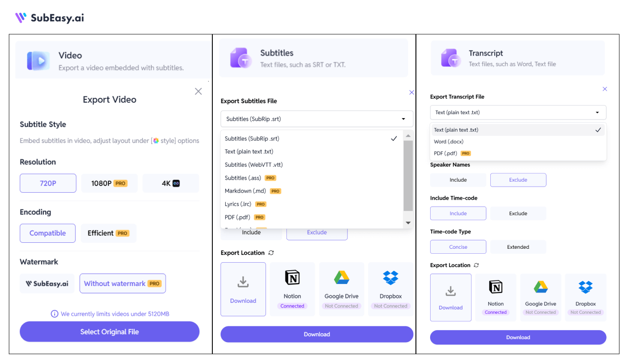 SubEasy's multiple export formats